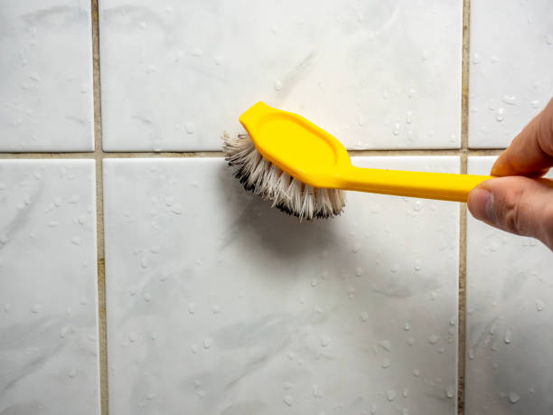 Best Best Mold Removal Companies  in Van Alstyne, TX
