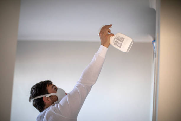Certified Mold Removal in Van Alstyne, TX