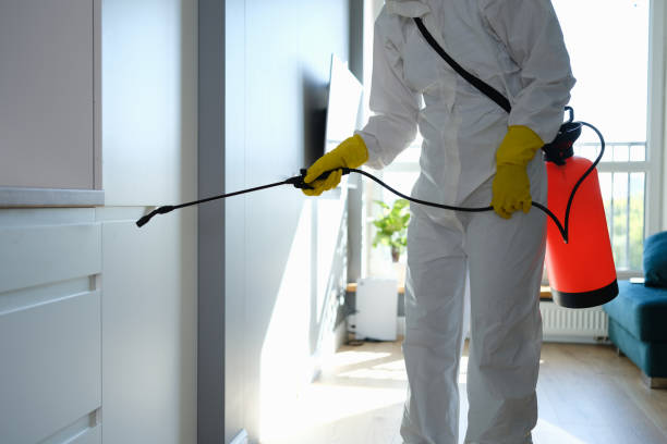 Best Local Mold Removal Service  in Van Alstyne, TX