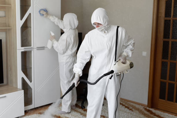 Best Commercial Mold Removal  in Van Alstyne, TX