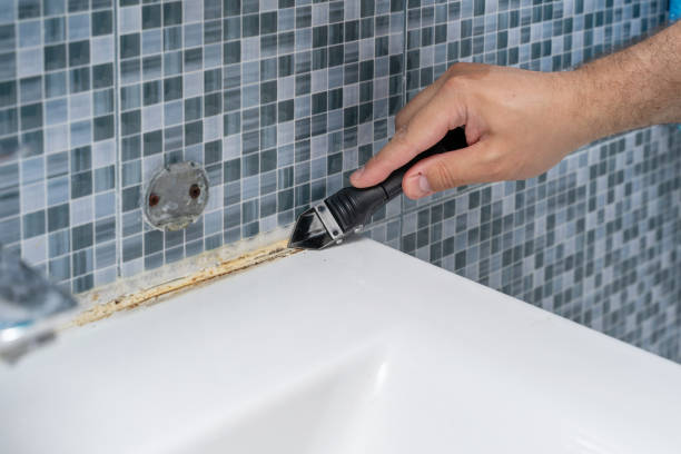 Best Certified Mold Removal  in Van Alstyne, TX