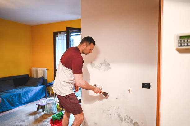 Professional Mold Removal in Van Alstyne, TX
